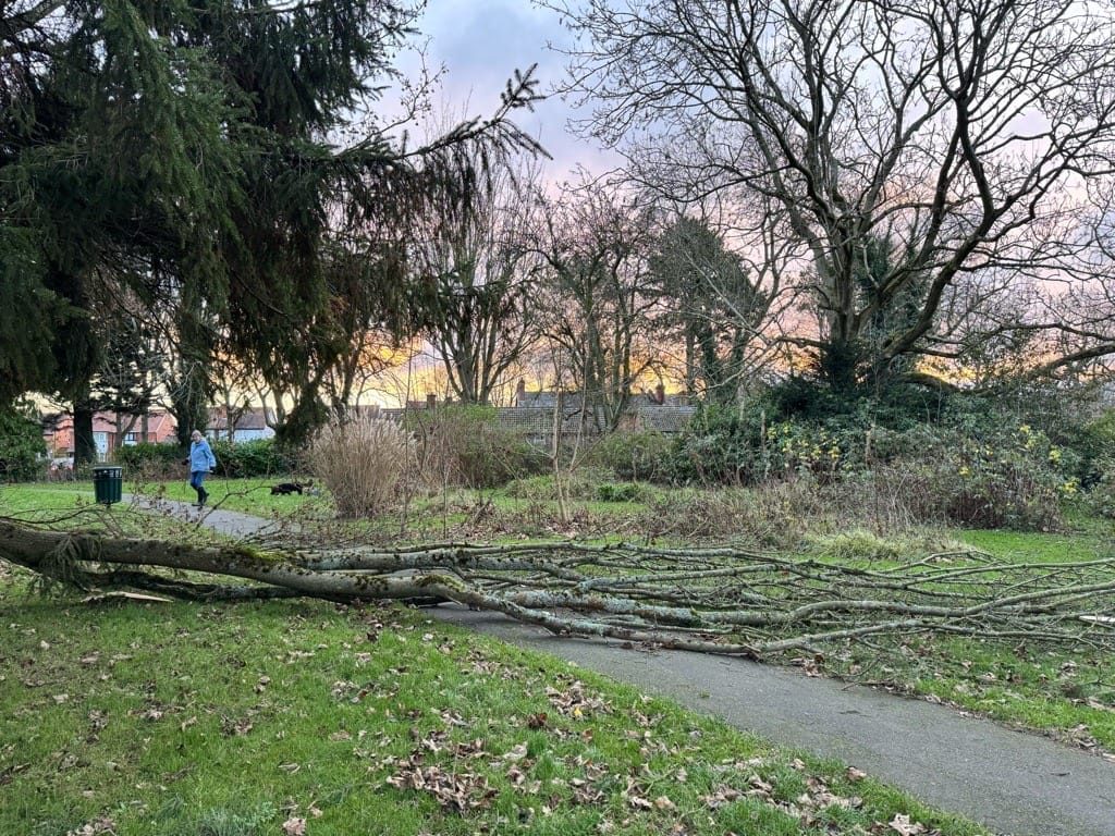 Storm Darragh, Knowle, Solihull, 8thDecember 2024