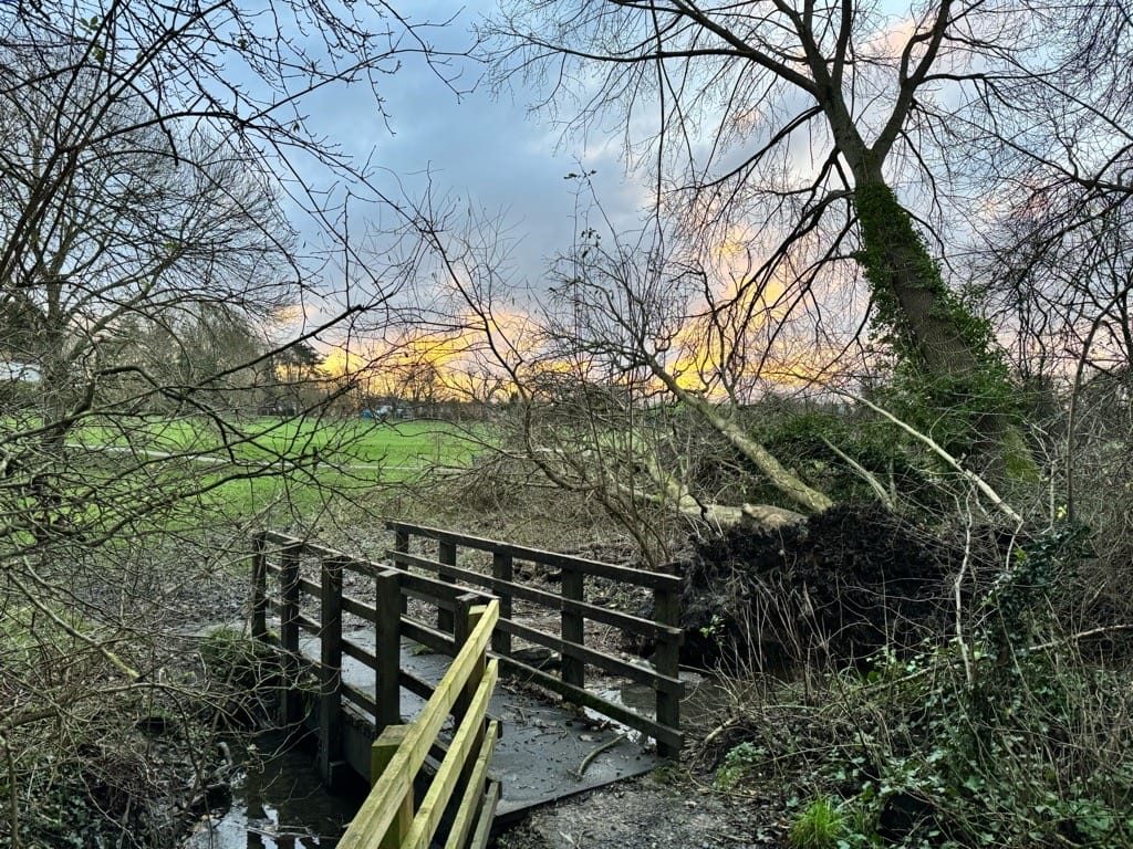 Storm Darragh, Knowle, Solihull, 8thDecember 2024