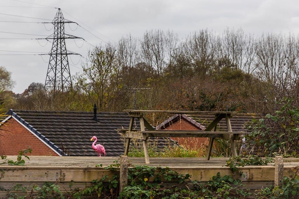 Stratford canal from the Drawbridge to the High Street, November, 2024