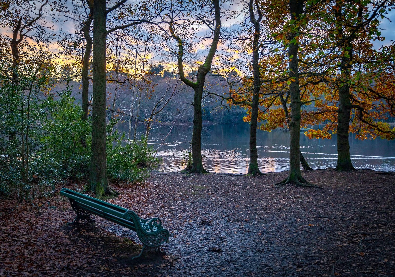 A bench with a view of the sunset