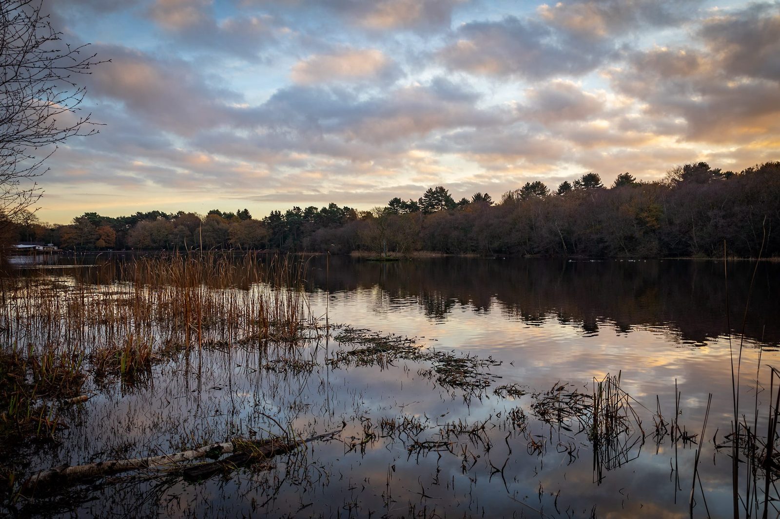 The shore at Bracebridge Pool