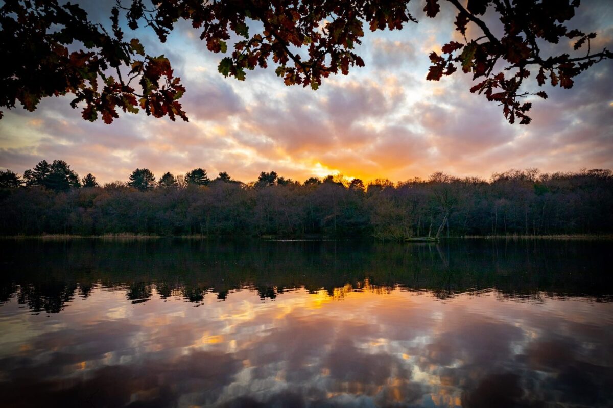 Watching the sun go down by Bracebridge pool, Sutton Park