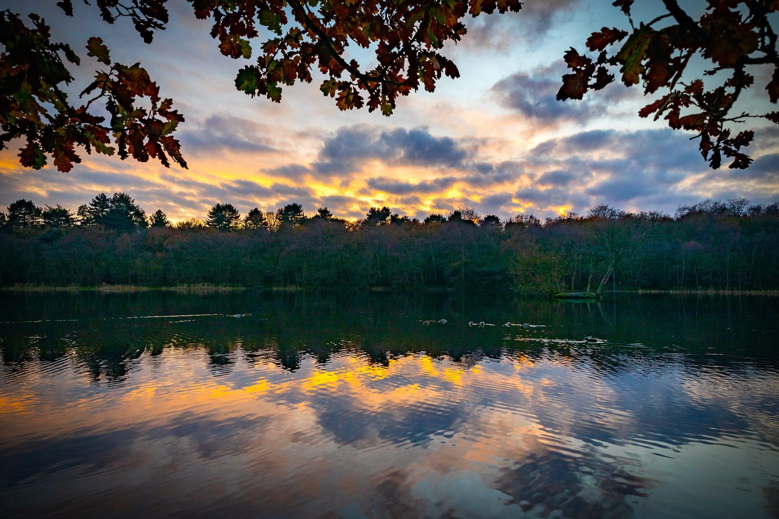 Bracebridge Pool at Sunset