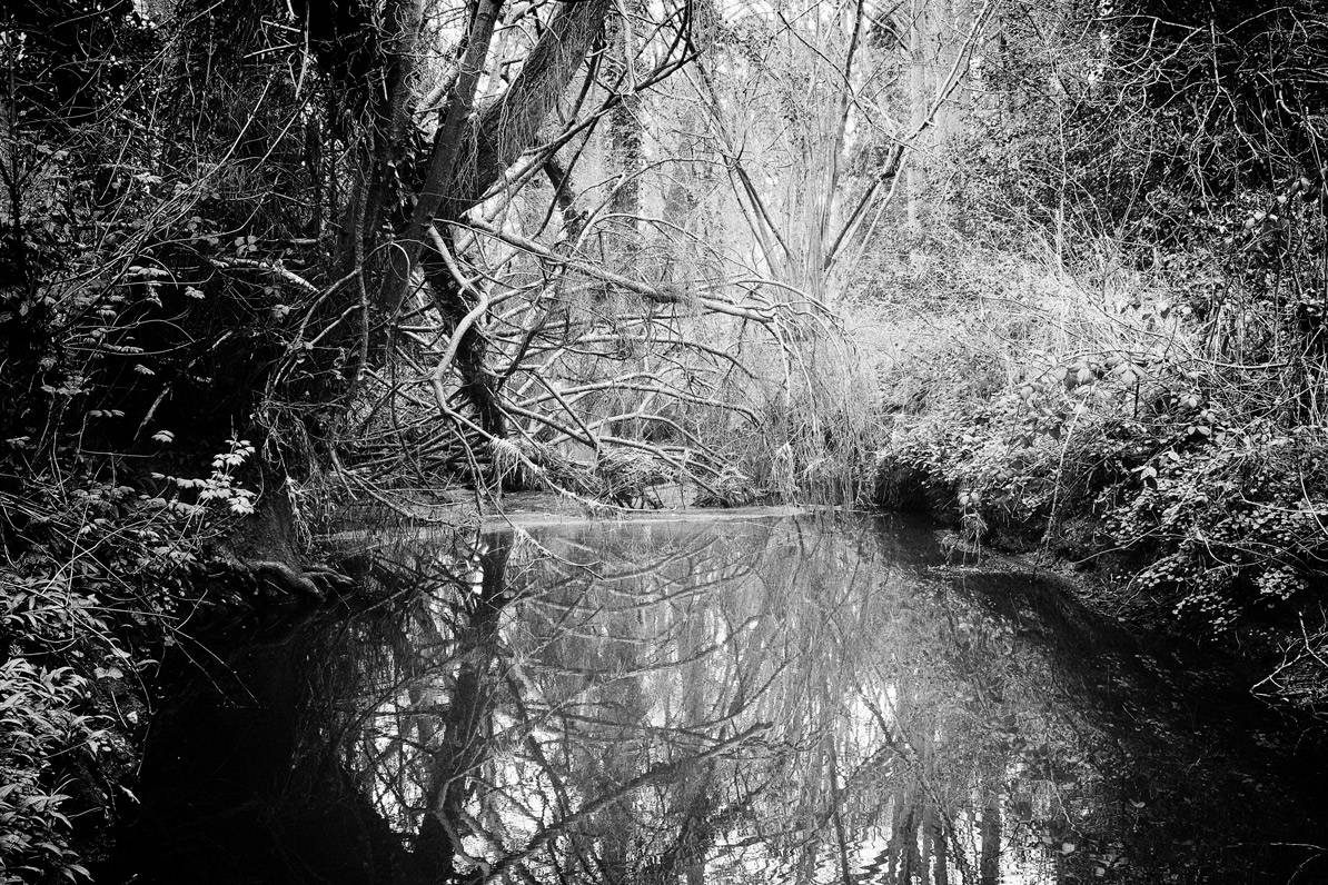 Temple Balsall