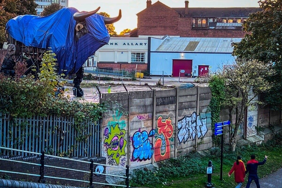 The Fate of the Bull