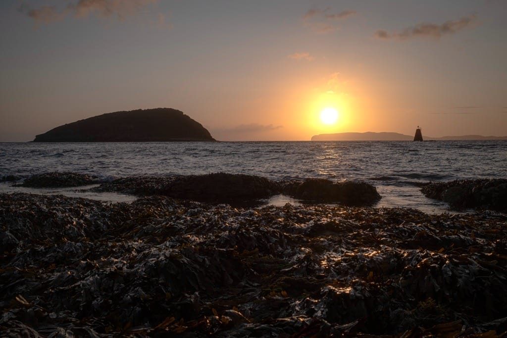 Trwyn Du Lighouse, Anglesey, August 2024