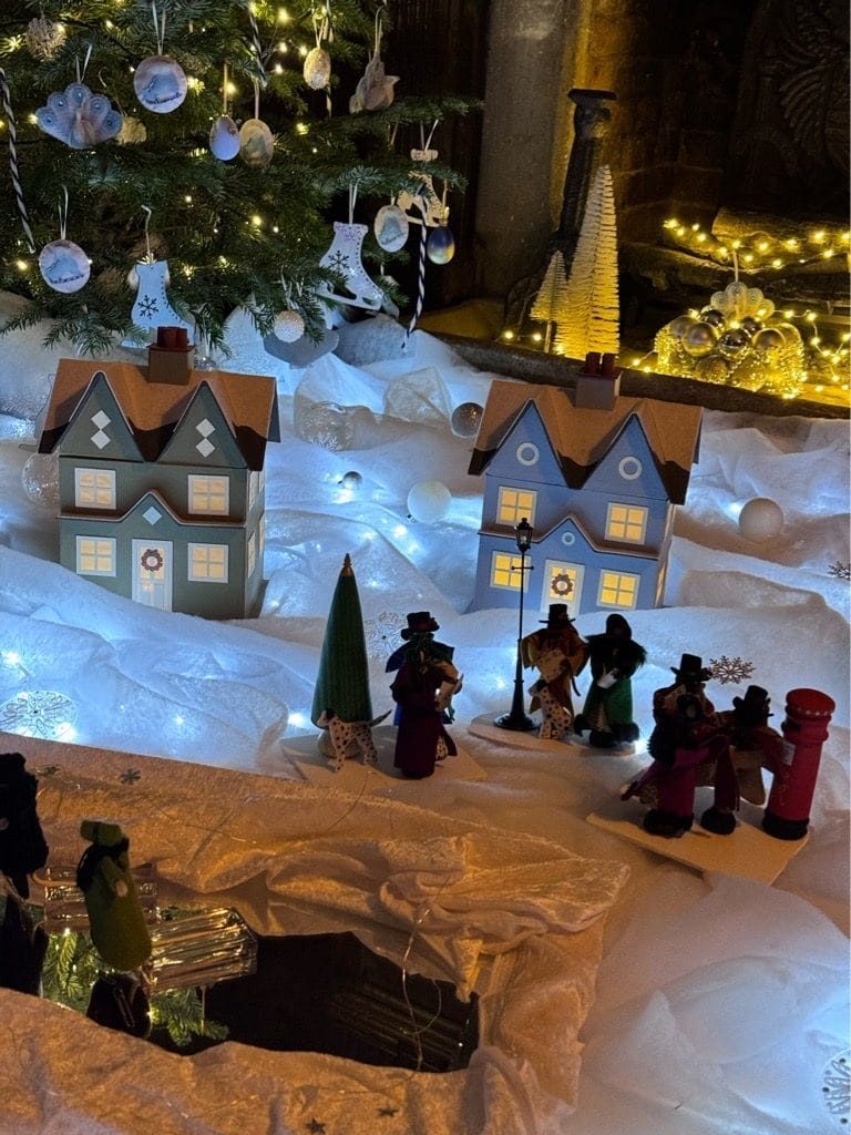 Two Houses, Packwood, December, 2023