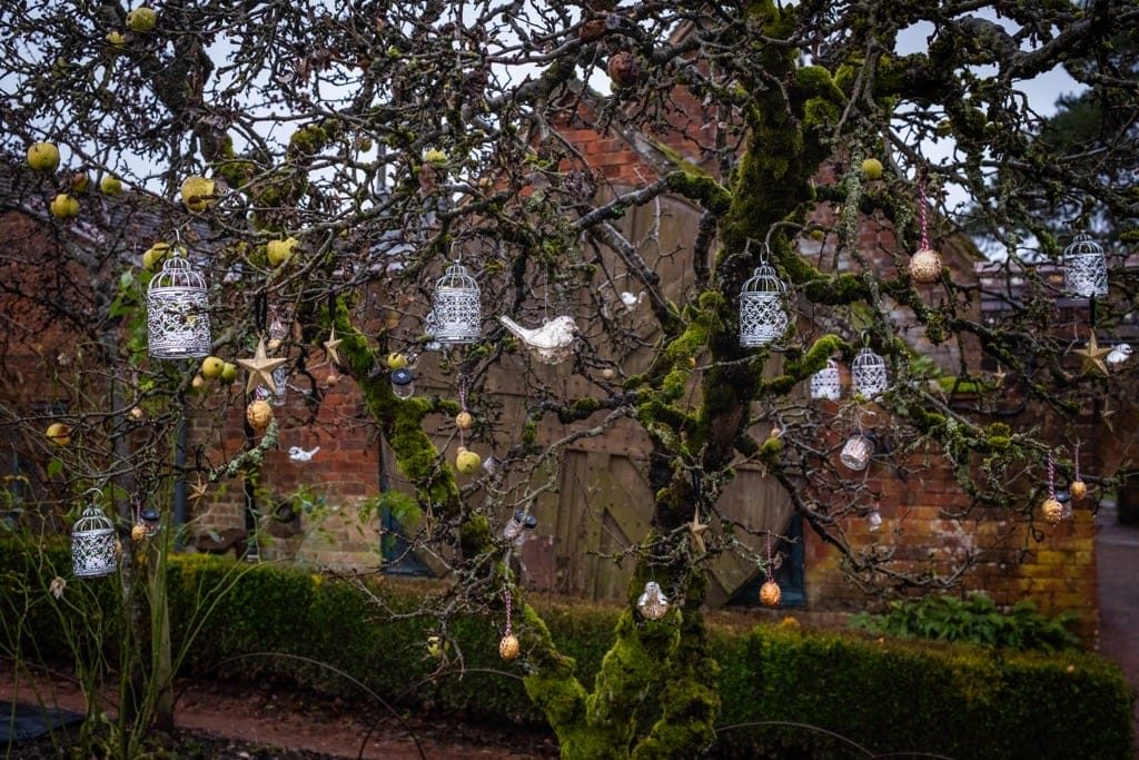 Two Houses, Packwood, December, 2023