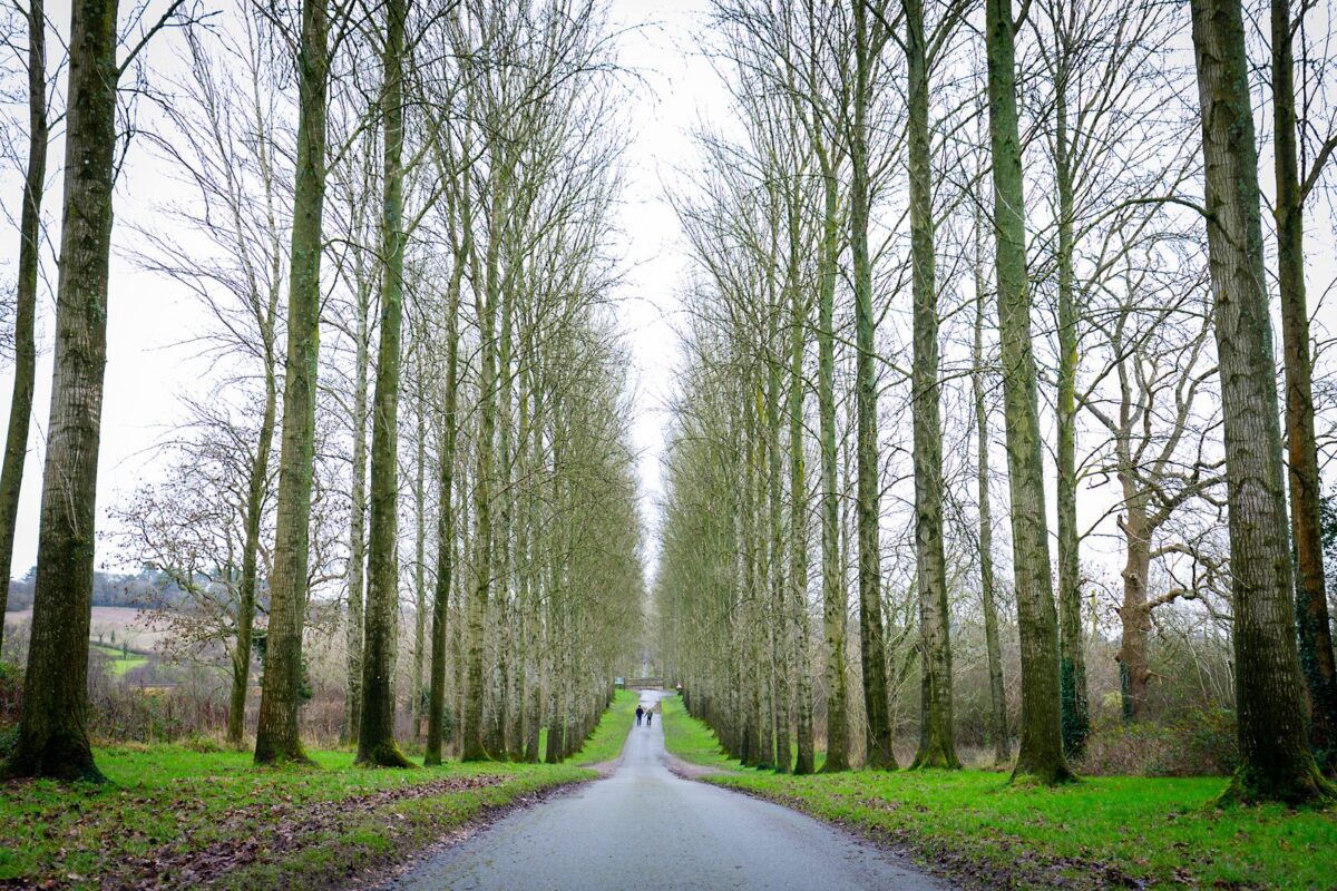 The photographic delights of Umberslade Park