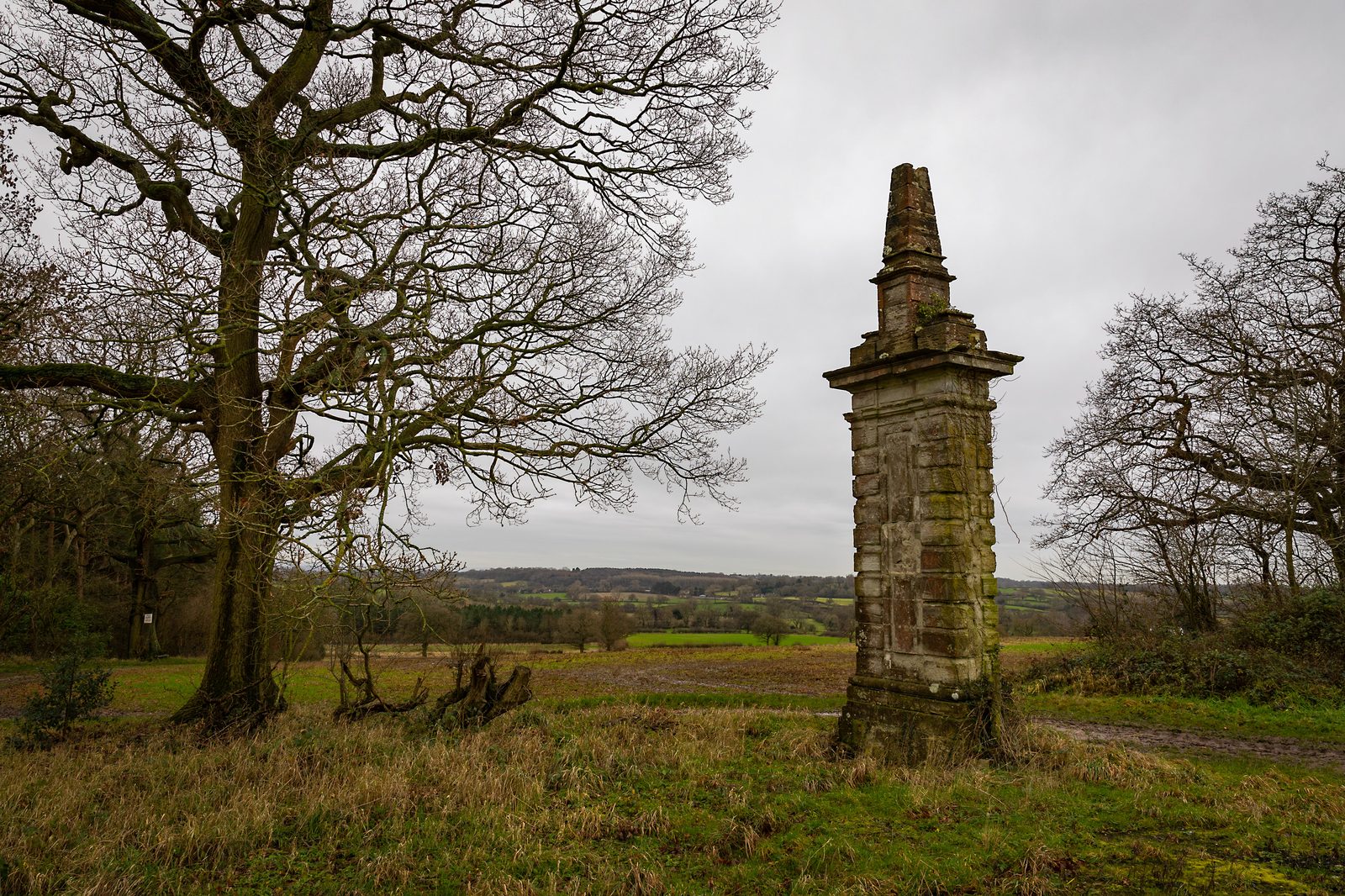 Views of the Warwickshire countryside