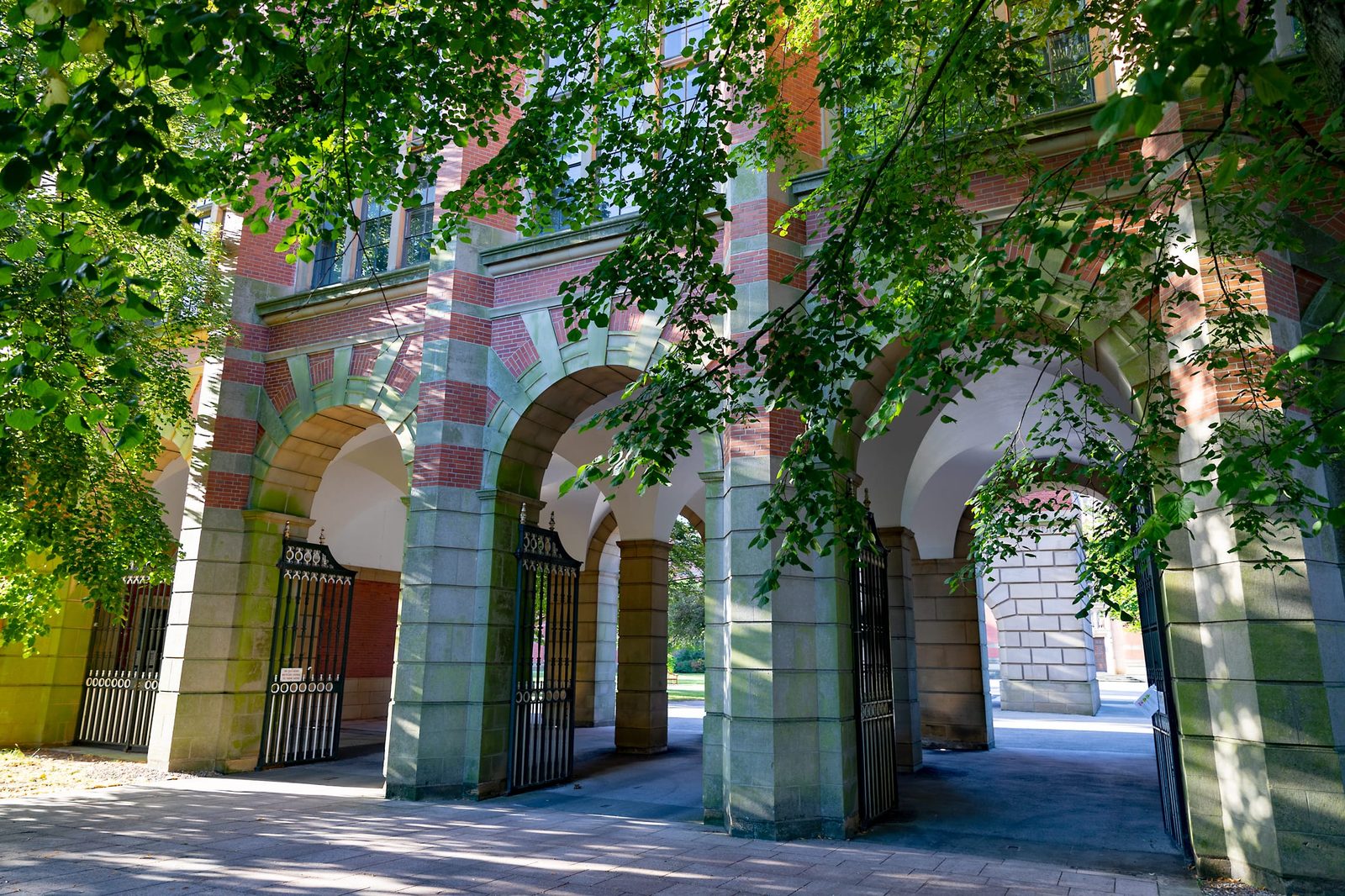 Lovely light on campus