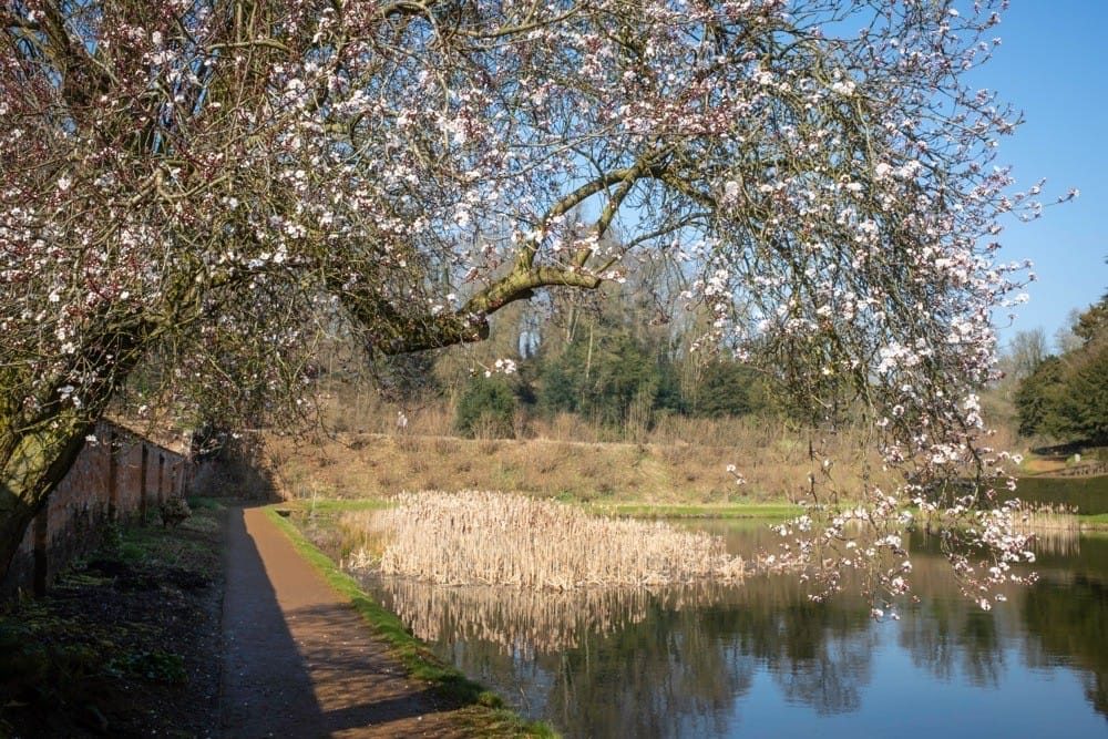 Upton House March 2022