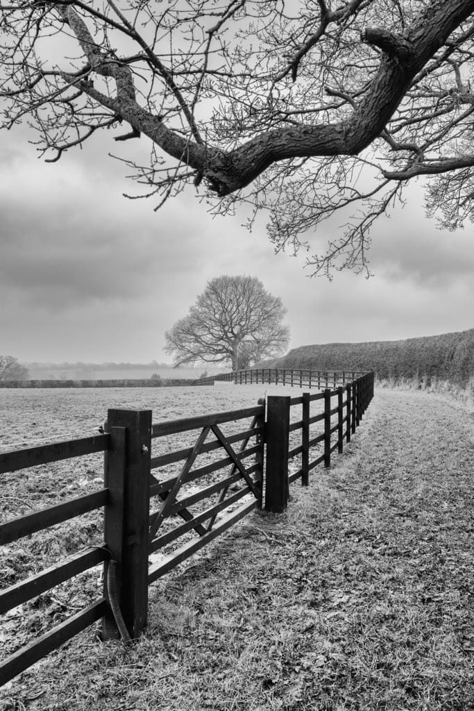 Winter's Walk, Edstone, February, 2025