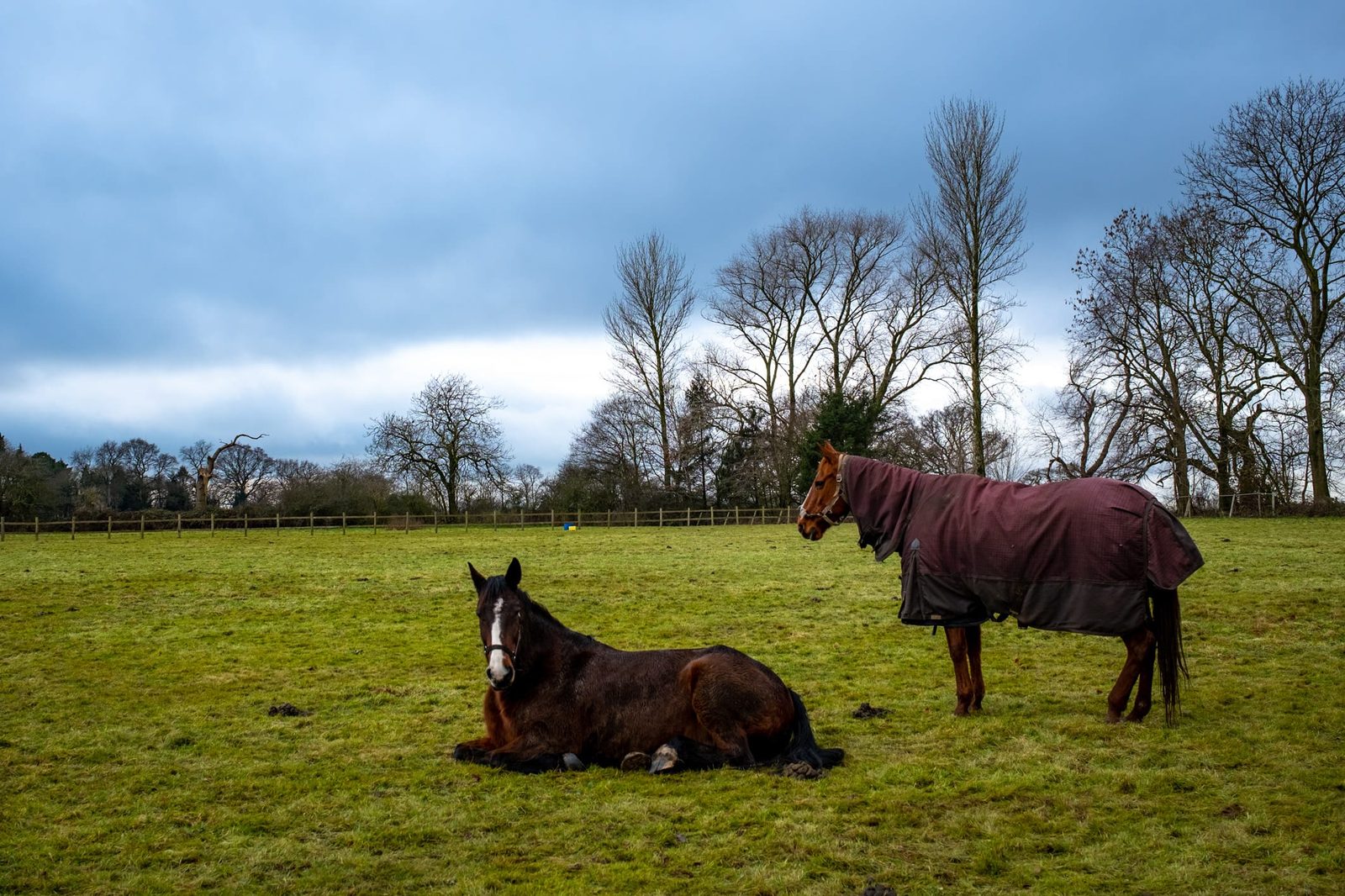 A couple of friends I met at the end of the walk