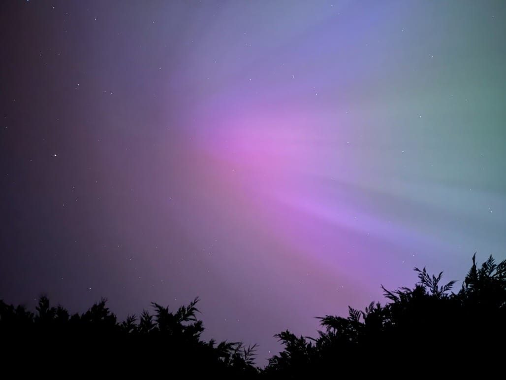 Aurora borealis in my garden, May 2024