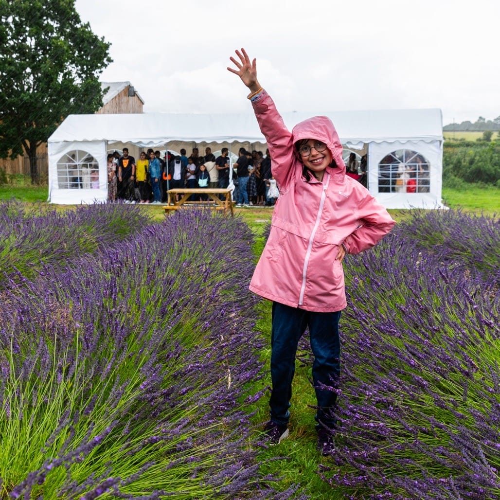 Warwickshire Lavender fields, Bubbenhall, Coventry, 2023
