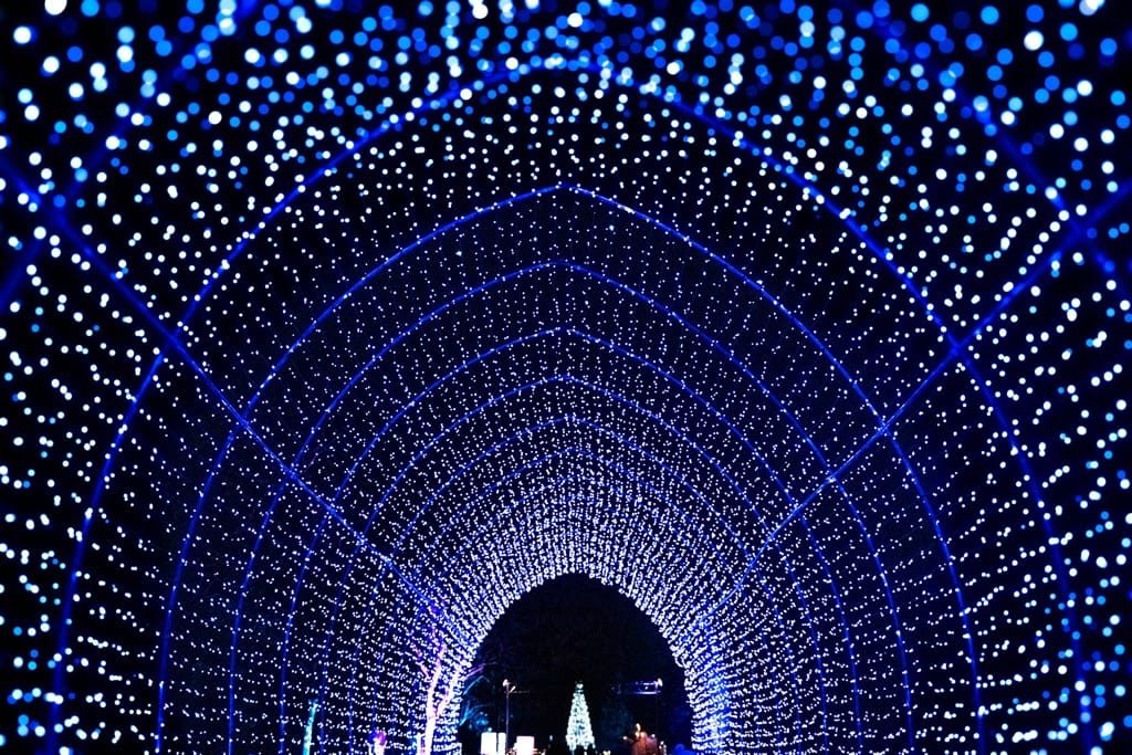 Warwick Castle Light Trail, Warwick, November 2025