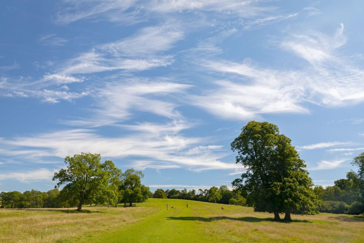 The Welcombe Hills