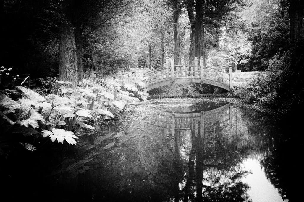 Winterbourne House and Gardens, The University of Birmingham, May 2023