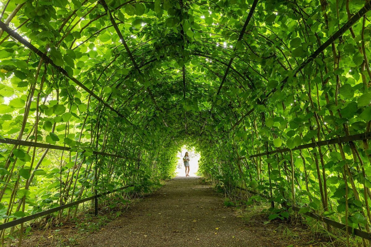Winterbourne revisited