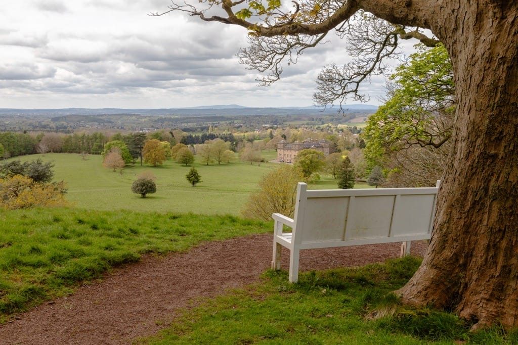 Woodland Photography, Hagley Park, Worcestershire, 2024