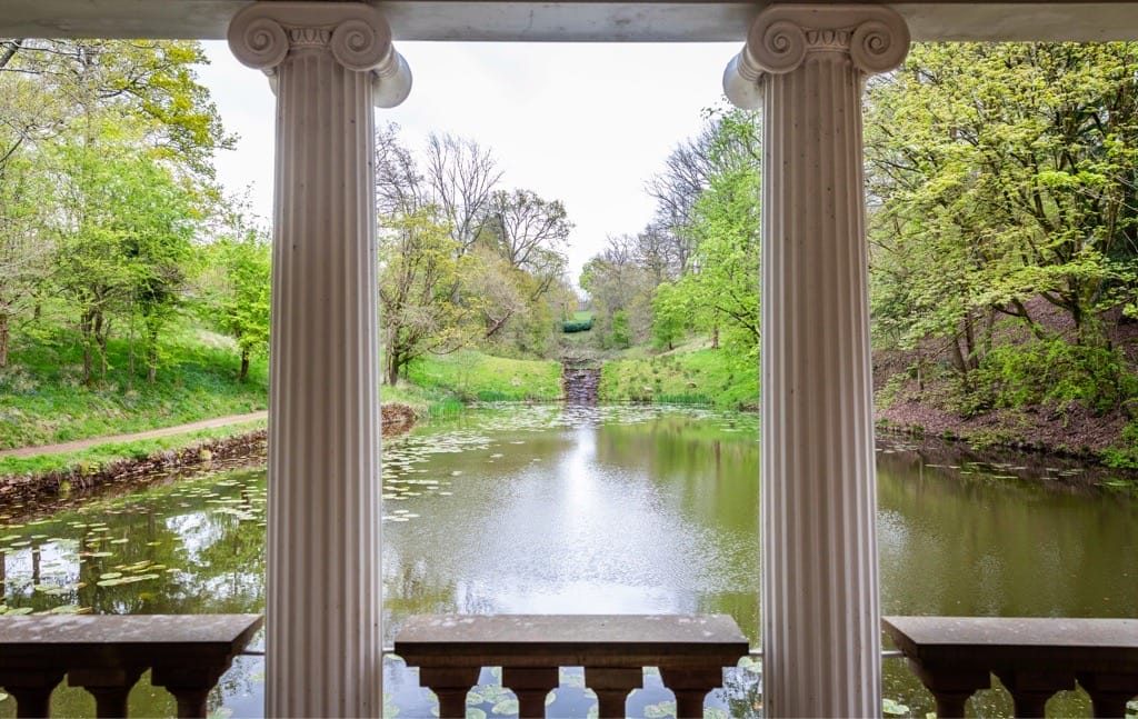 Woodland Photography, Hagley Park, Worcestershire, 2024