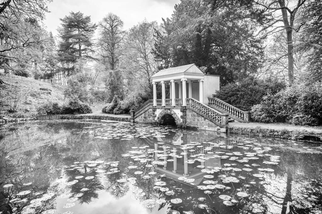 Woodland Photography, Hagley Park, Worcestershire, 2024
