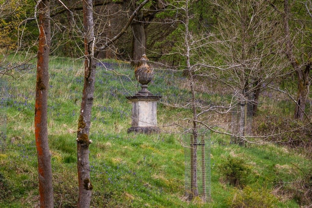 Woodland Photography, Hagley Park, Worcestershire, 2024
