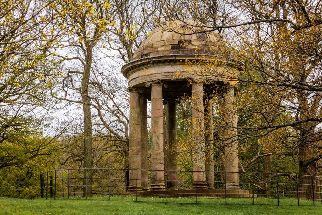 Woodland Photography, Hagley Park, Worcestershire, 2024