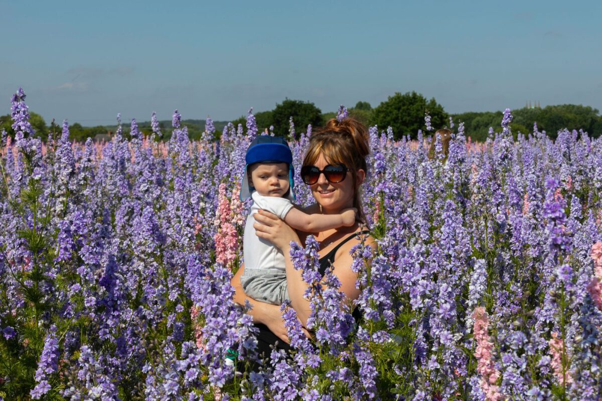 Confetti Fields