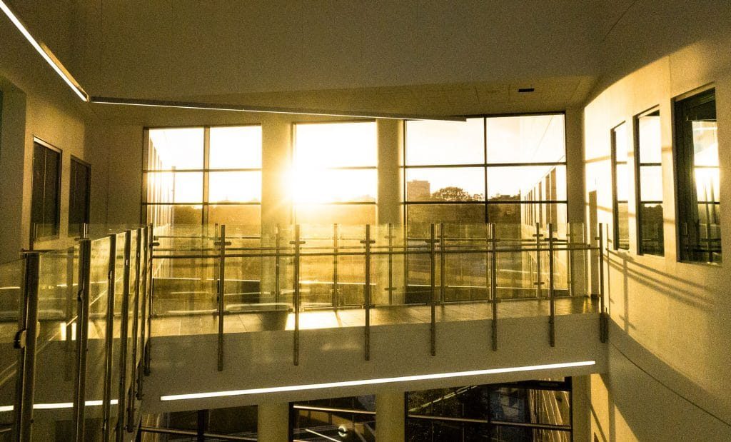 Shadows and Light