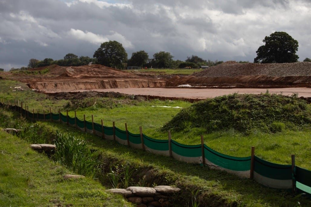 Sixteen Acre Wood, Berkswell, September, 2023