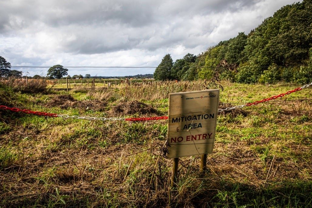 Sixteen Acre Wood, Berkswell, September, 2023