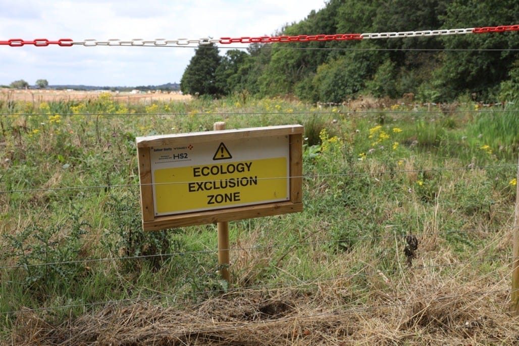 16 Acre Wood, Berkswell, 2022