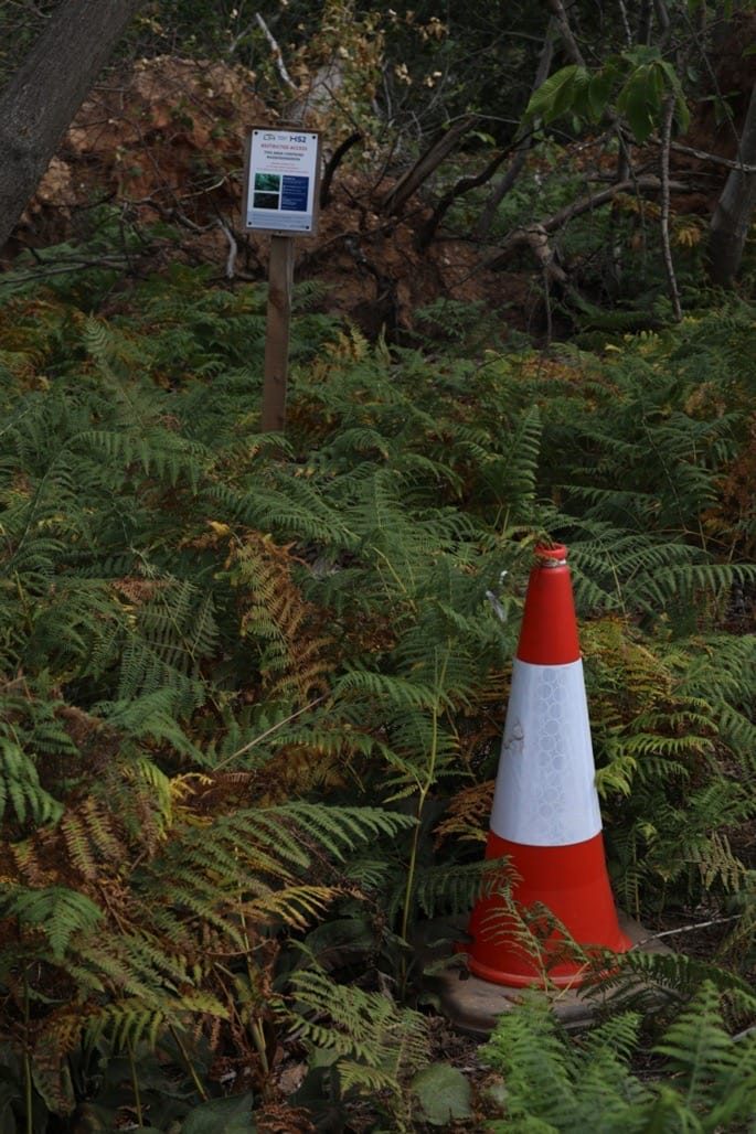 16 Acre Wood, Berkswell, 2022