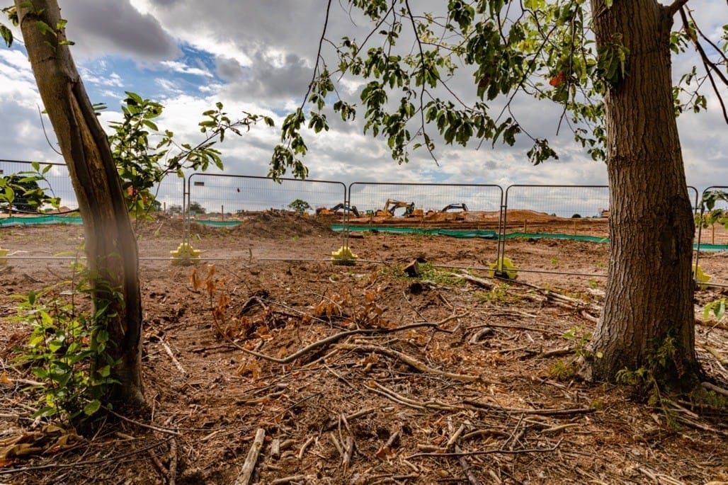 The damage to 16 acre wood