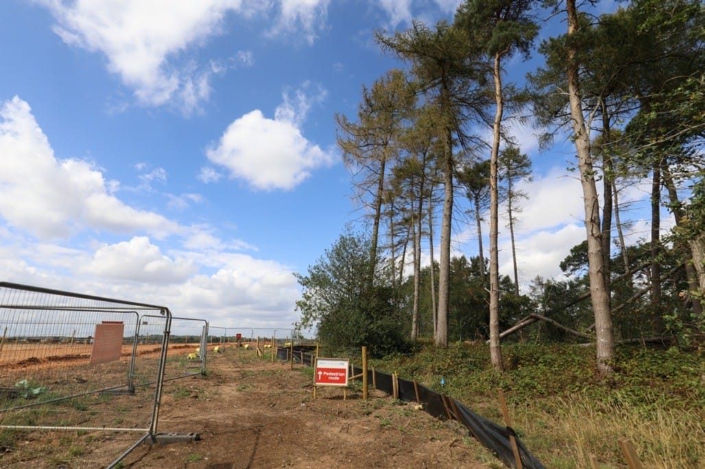 16 Acre Wood, Berkswell, 2022