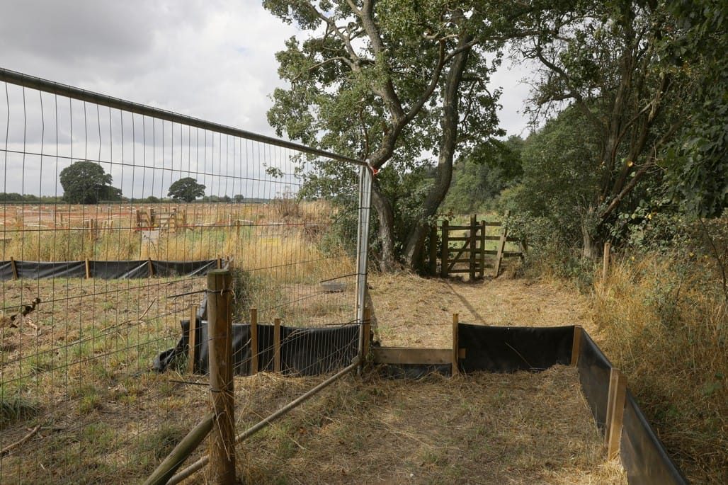 16 Acre Wood, Berkswell, 2022