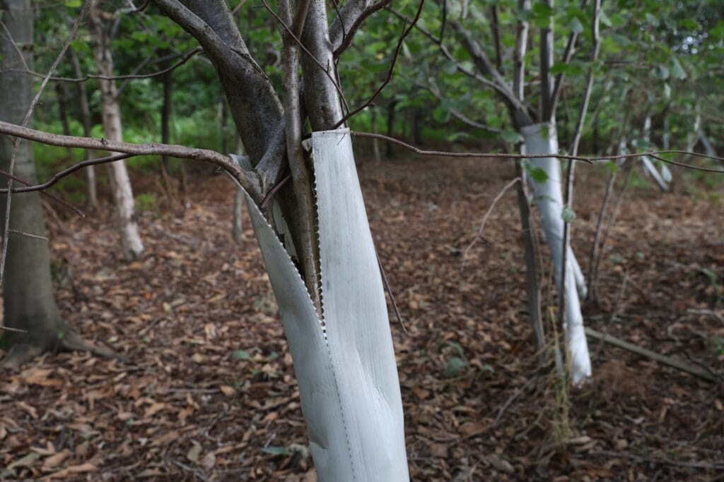 A return to 16 Acre Wood to see the progress of HS2 2026