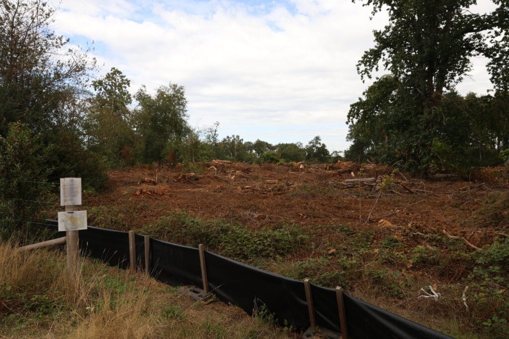 A return to 16 Acre Wood to see the progress of HS2 2026